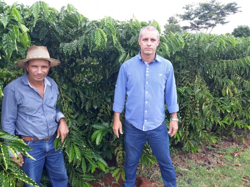Produção de Café  - Agricultura Familiar